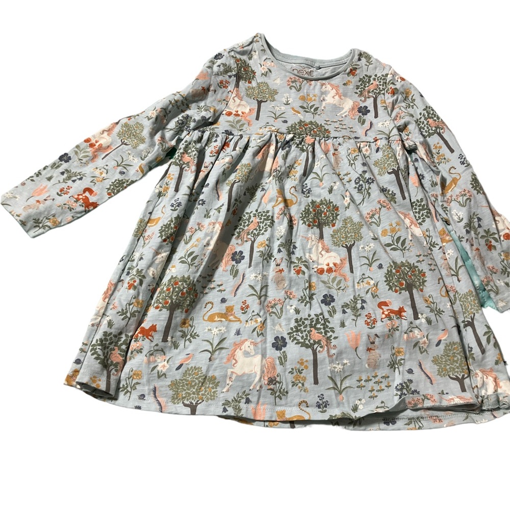 Next dress—excellent condition